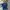 Uniqlo Vintage Streetwear Polo Shirt Pria Navy