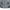 Puma Y2K Gorpcore Track jacket Pria gray photo 5