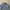 Lacoste Streetwear Formal shirt Pria blue photo 2