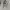Nike Streetwear Minimalist Windbreaker Pria gray photo 2