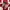 Adidas Casual Sneakers Pria Red