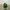 Streetwear Sportswear Windbreaker Pria green photo 1