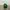 Streetwear Sportswear Windbreaker Pria Green