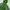 Streetwear Sportswear Windbreaker Pria green photo 5