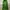 Streetwear Sportswear Windbreaker Pria green photo 4