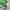 Streetwear Sportswear Windbreaker Pria green photo 6