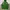 Streetwear Sportswear Windbreaker Pria green photo 3