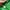 Streetwear Sportswear Windbreaker Pria green photo 8