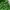 Streetwear Sportswear Windbreaker Pria green photo 7