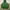 Streetwear Sportswear Windbreaker Pria green photo 2