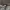 Vintage Y2K Flare pants Wanita gray photo 4