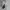 New Balance Streetwear Sportswear Sneakers Pria white photo 5