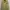 Luxury Blazer Wanita green photo 1