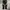 Mountain Hardwear Gorpcore Sportswear Tracksuit Pria gray photo 3