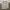 K2 Streetwear Sportswear Windbreaker Pria white photo 4