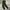 Fieldcore Gorpcore Sportswear Tracksuit Pria green photo 2