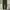 Fieldcore Gorpcore Sportswear Tracksuit Pria green photo 4