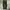 Fieldcore Gorpcore Sportswear Tracksuit Pria green photo 3