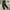 Fieldcore Gorpcore Sportswear Tracksuit Pria green photo 1