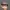 MOSCOT Luxury Cosplay Sunglass Wanita black photo 1