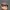 MOSCOT Luxury Cosplay Sunglass Wanita Black