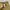 Blackyak Gorpcore Casual Short Pria tan photo 5