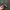 Ray Ban Luxury Casual Sunglass Pria Multicolor Black