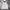 Nike Sportswear Casual Windbreaker Pria gray blue photo 2