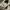 New Balance Sportswear Casual Sneakers Pria white black photo 2
