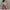 Cosplay Pakaian adat Kebaya Wanita pink photo 6