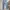 Vintage Streetwear Jeans Pria white gray photo 4