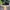 VANS Skater Casual Sneakers Pria white black photo 1