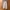 Streetwear Gorpcore Tracksuit Pria white cream photo 4