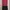 Mango Minimalist Casual dress Wanita red black photo 1