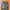 Streetwear Sportswear Sweatpants & Joggers Pria green photo 5