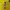 FUBU Y2K Casual Jersey Pria yellow photo 4
