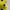 FUBU Y2K Casual Jersey Pria yellow photo 5