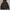 Uniqlo Sportswear Windbreaker Pria Black