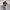 Ray Ban Vintage Y2K Glass Wanita brown photo 2