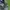 Nike Casual Short Pria gray photo 3