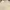 Casual Sweater Wanita cream photo 2