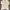 Casual Sweater Wanita cream photo 1