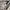 Dickies Casual Casual shirt Pria cream photo 6