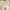 Casual Sweater Wanita khaki photo 3