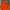 Gildan Casual Hoody Pria Orange