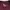 Carhartt Vintage T-shirt Pria burgundy photo 3