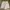 Casual Short Wanita white photo 1