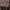 Polo Ralph Lauren Casual Puffer jacket Pria brown photo 4