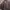 Polo Ralph Lauren Casual Puffer jacket Pria brown photo 3