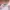 Kenzo Luxury Futurist Hat Wanita pink photo 3
